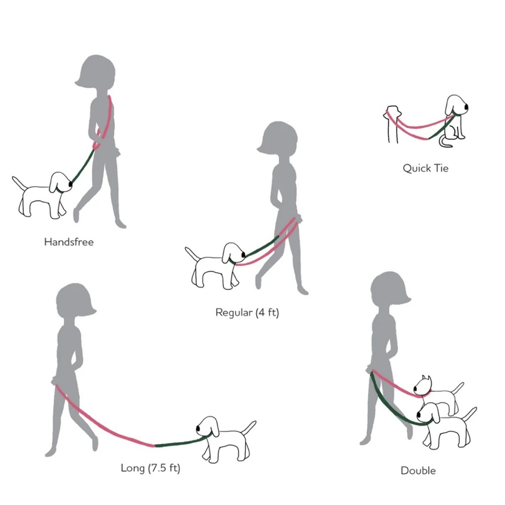 Eat Play Wag No-Pull Harness & 1” Convertible Leash Set - Spruce Medium - Picture 5 of 9